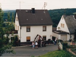Trabischaukel 1991