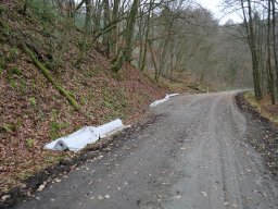 Asphaltierung Weiltalradweg