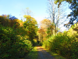 weiltalweg 20131019 50 256x192